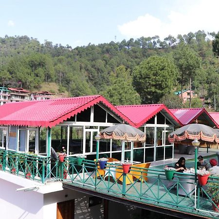 Maple Resort Chail Dış mekan fotoğraf