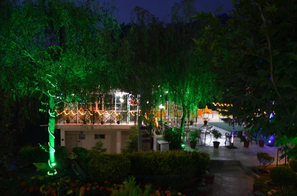 Maple Resort Chail Dış mekan fotoğraf