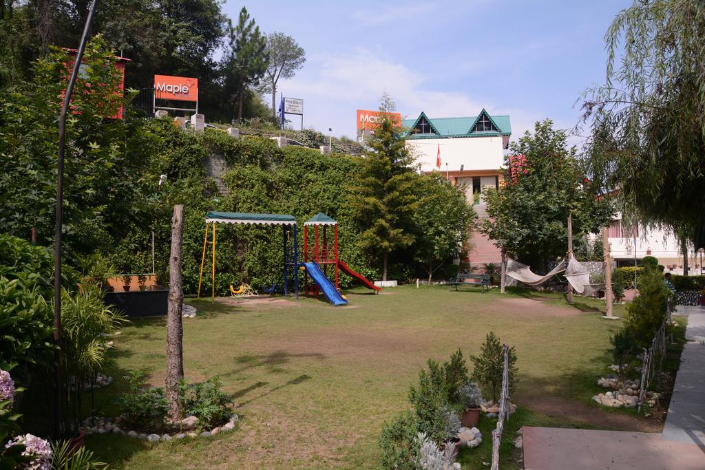Maple Resort Chail Dış mekan fotoğraf