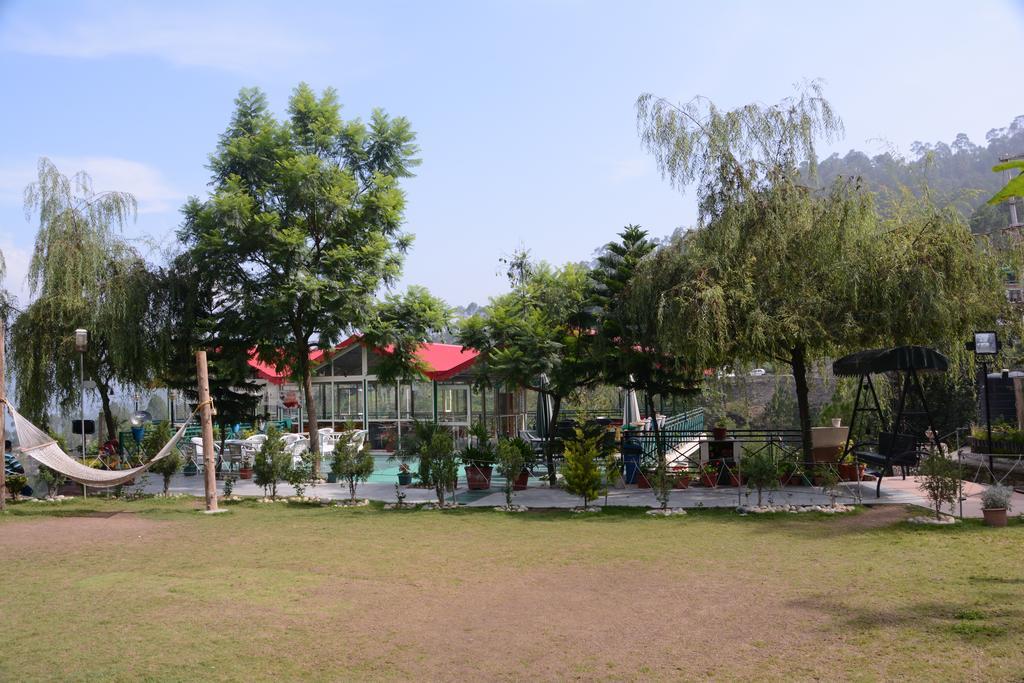 Maple Resort Chail Dış mekan fotoğraf