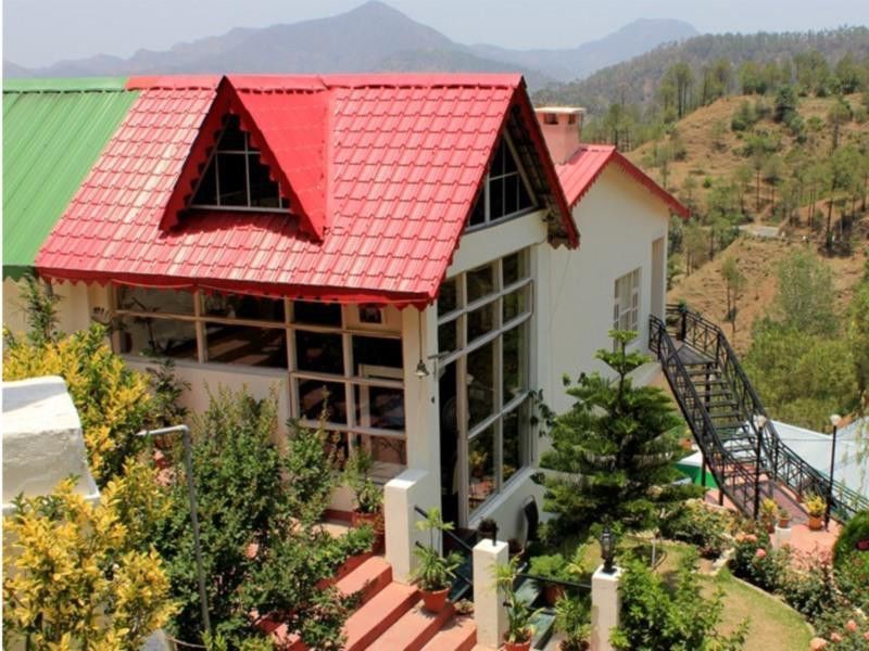 Maple Resort Chail Dış mekan fotoğraf