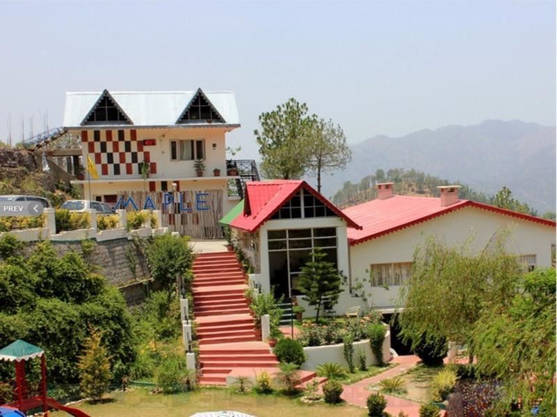 Maple Resort Chail Dış mekan fotoğraf