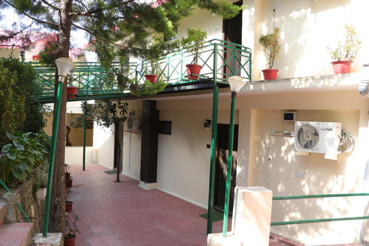 Maple Resort Chail Dış mekan fotoğraf