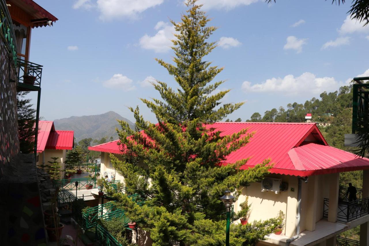 Maple Resort Chail Dış mekan fotoğraf