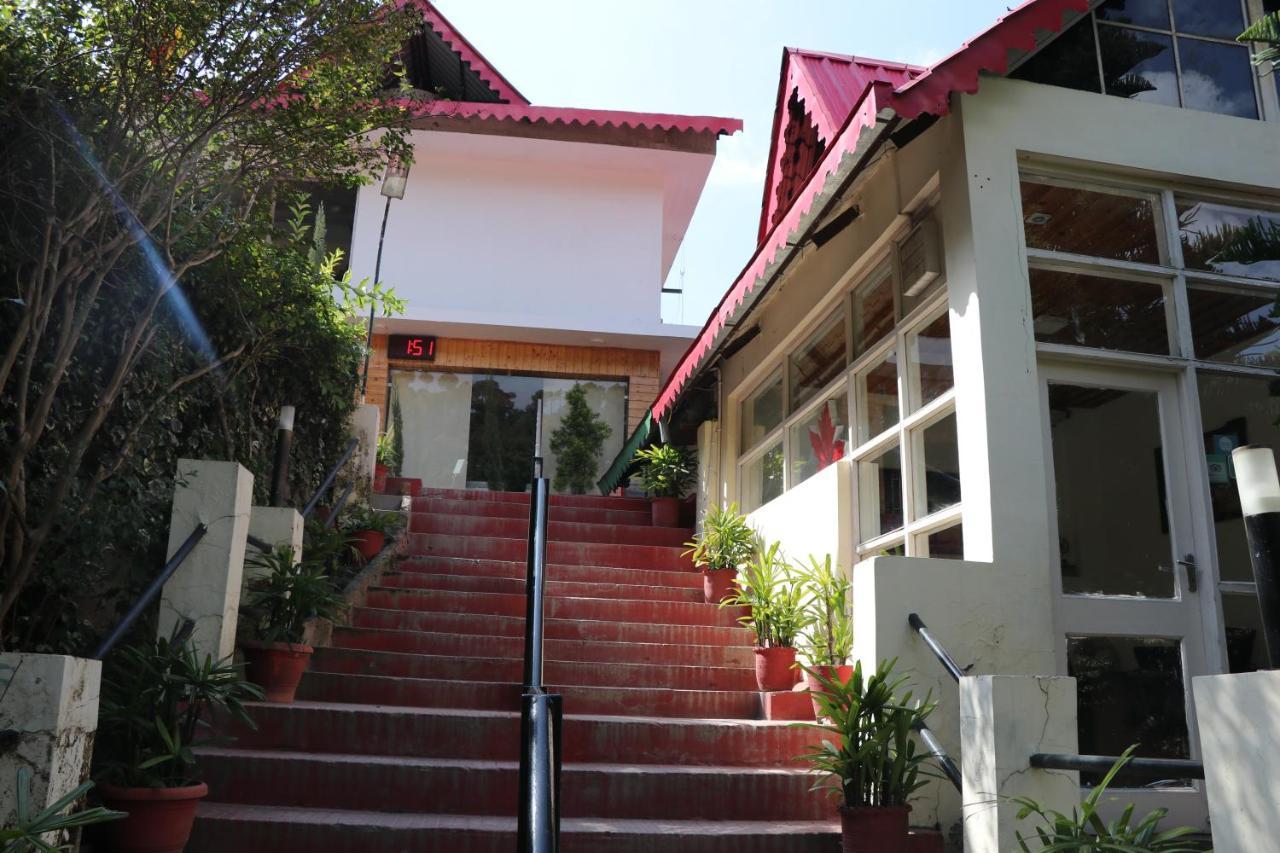 Maple Resort Chail Dış mekan fotoğraf
